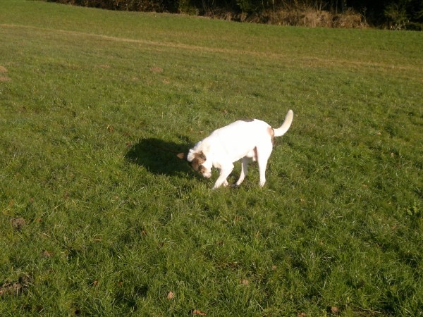 med_+kann ich schon lange.jpg (600 x 450)